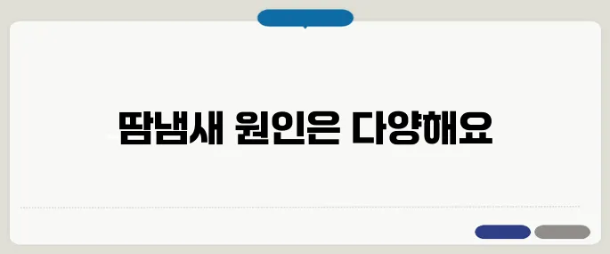 땀냄새가 심한 이유 정리 식습관, 호르몬, 위생까지 점검