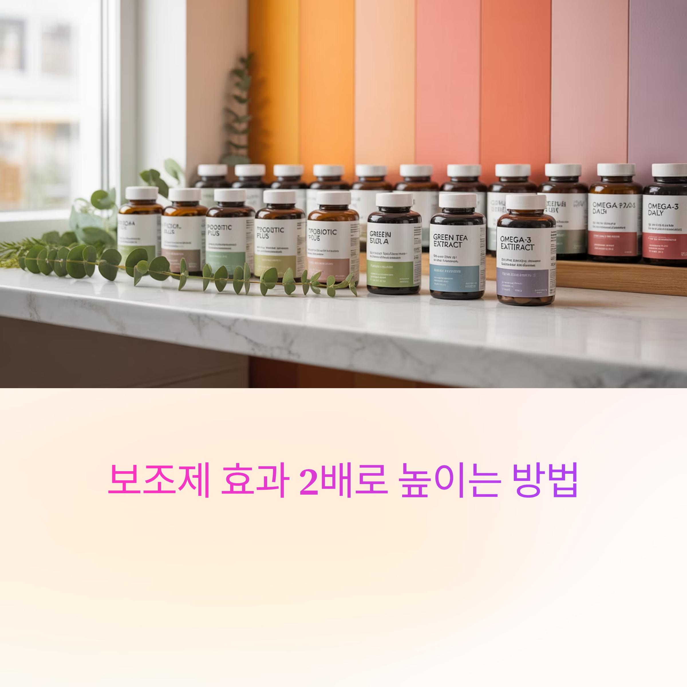 보조제 효과 2배 높이는 방법