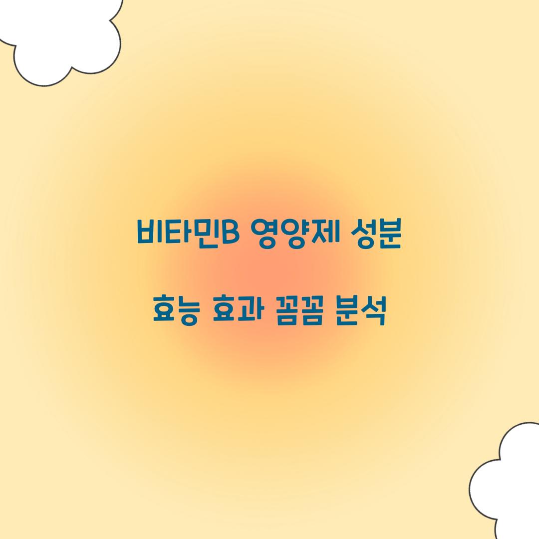 비타민B 영양제 성분 효능 효과