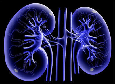 신장에 안좋은 음식 10가지