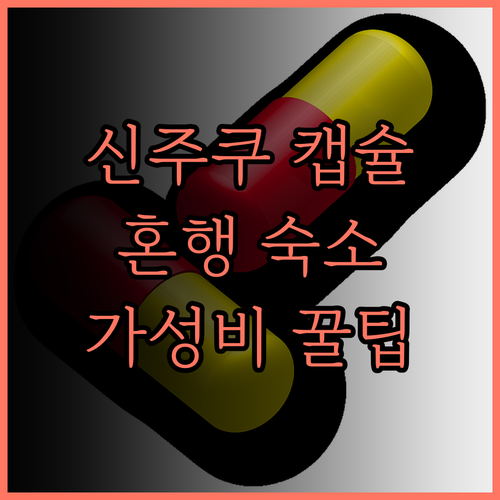 신주쿠 쿠야쿠쇼마에 캡슐 호텔 혼행족