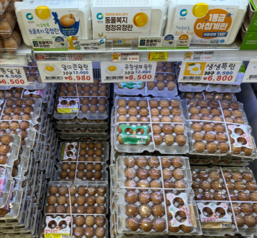 신선하고 좋은 계란 고르는 법5