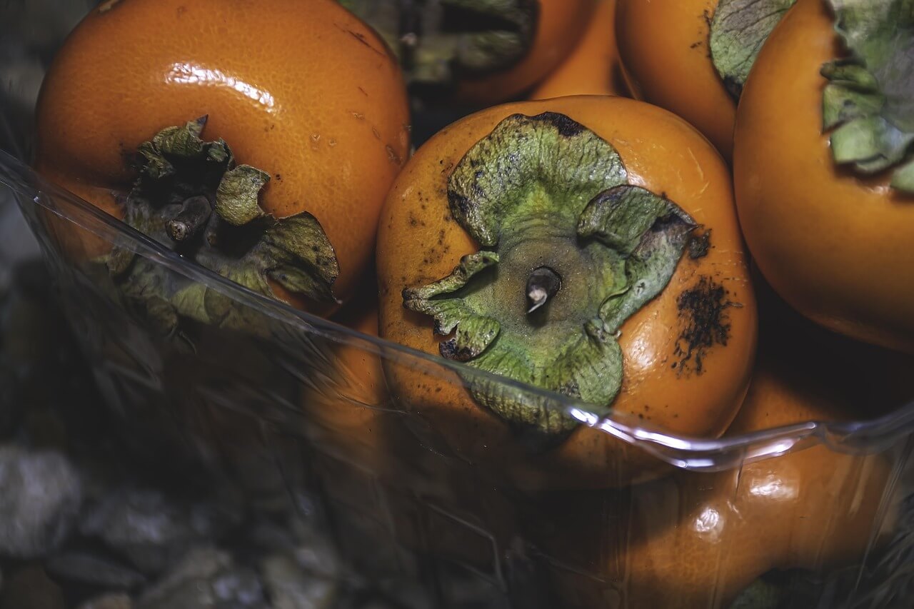 경남 여성농업인 바우처 사용처