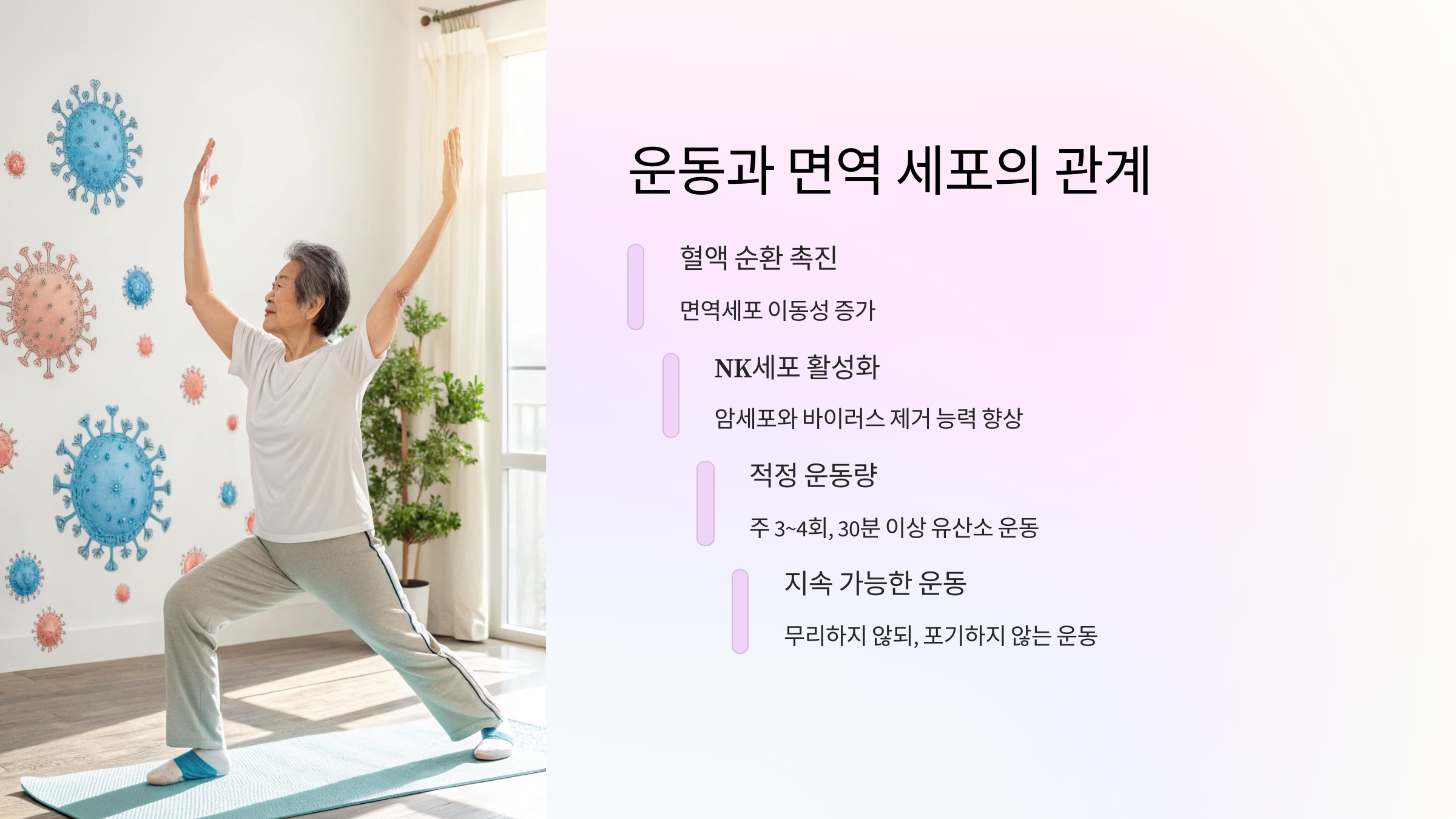 💪 운동과 면역 세포의 관계