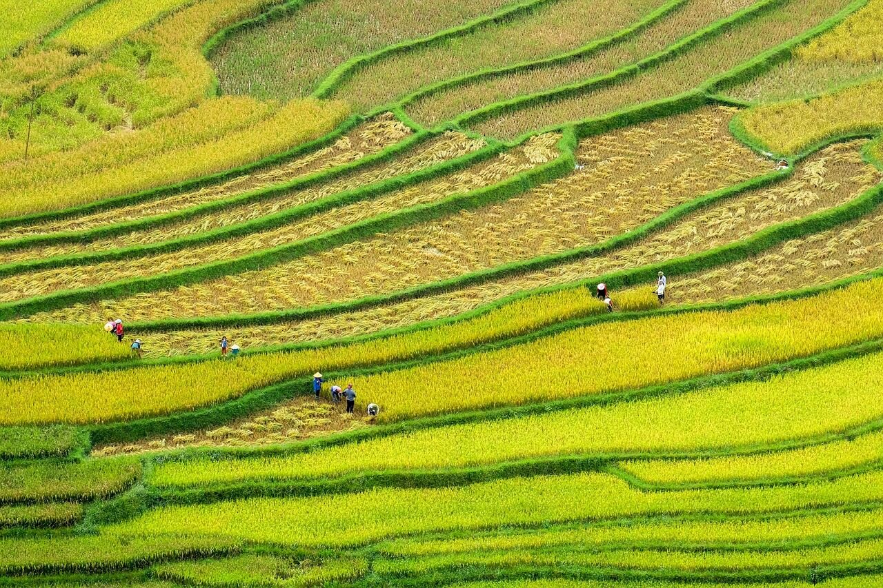 기후 난민 수용소 식량 자급 소형 수직농장