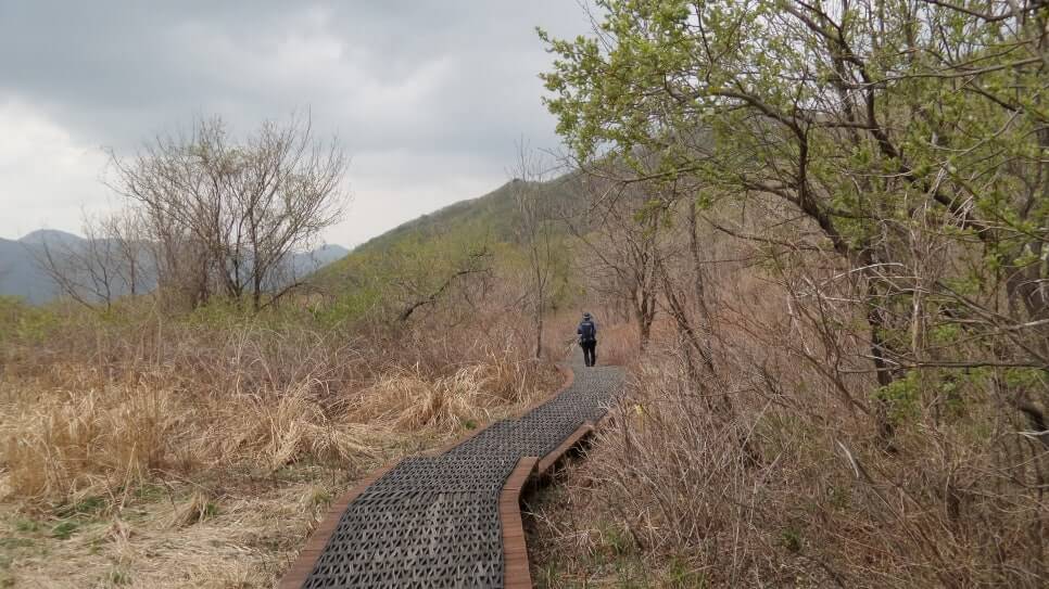 100대 명산 등산하기 서른여덟번째 영동 민주지산 삼도봉 능선과 물한계곡, 사계절 매력 총정리