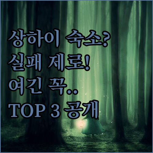 상하이 여행의 질을 바꿔줄 후회 없는..