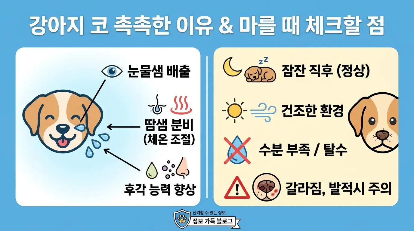강아지 코가 촉촉한 이유