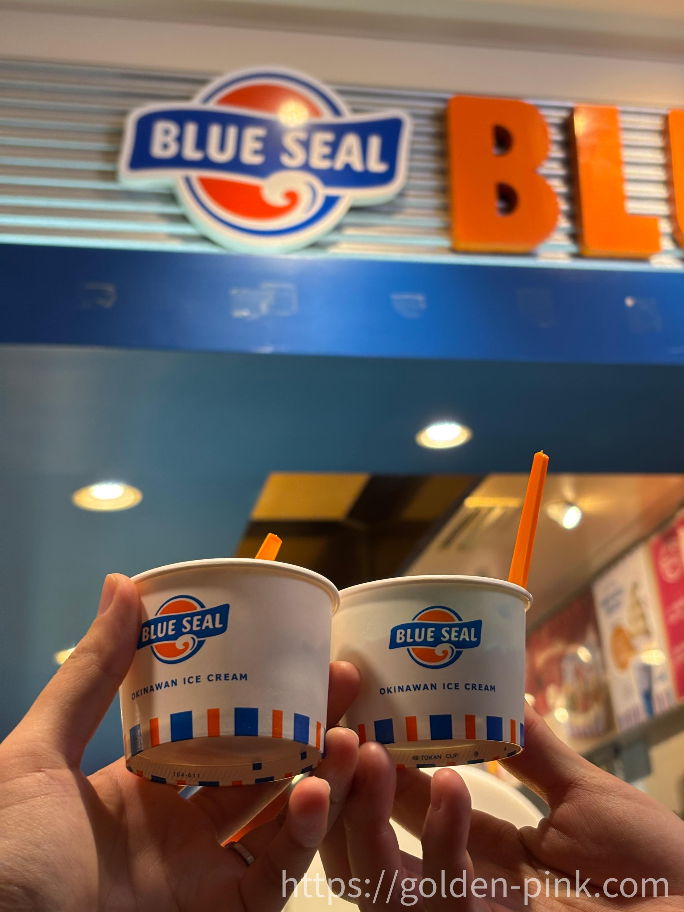 오키나와 블루씰 아이스크림 사진