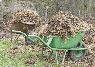똥(대변)을 들고 다니는 꿈해몽