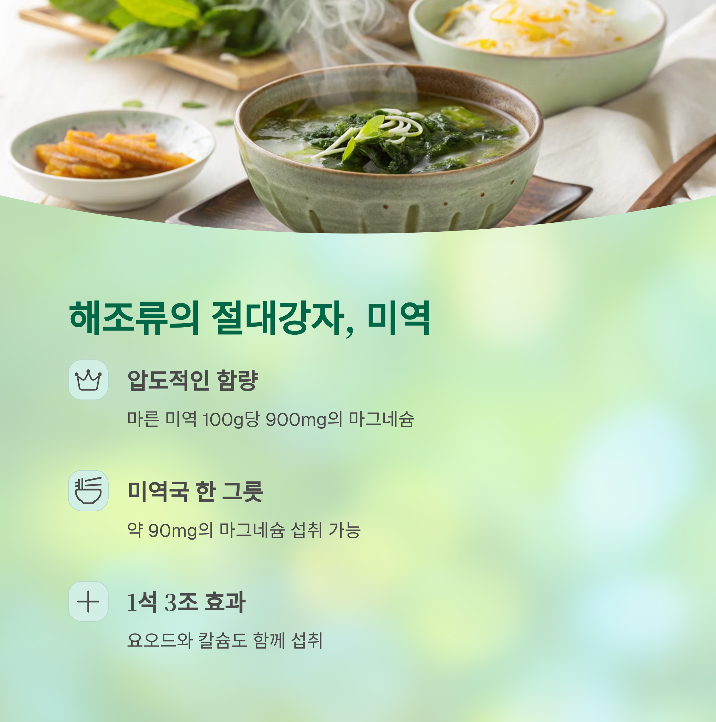 해조류의 절대강자, 미역