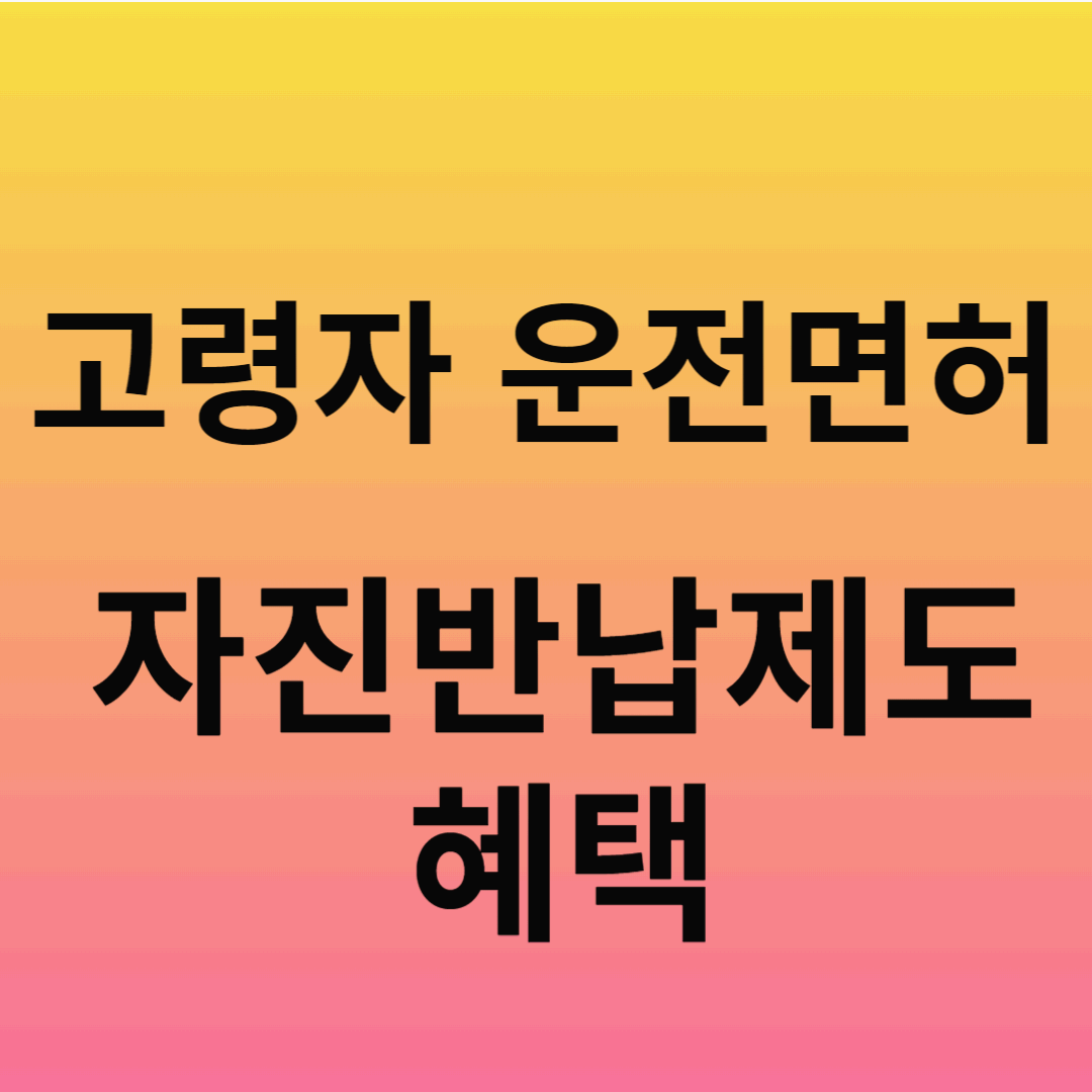 고령자 운전면허 자진반납 제도