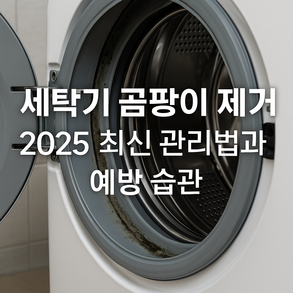 세탁기 곰팡이 제거 2025 최신 관리법과 예방 습관
