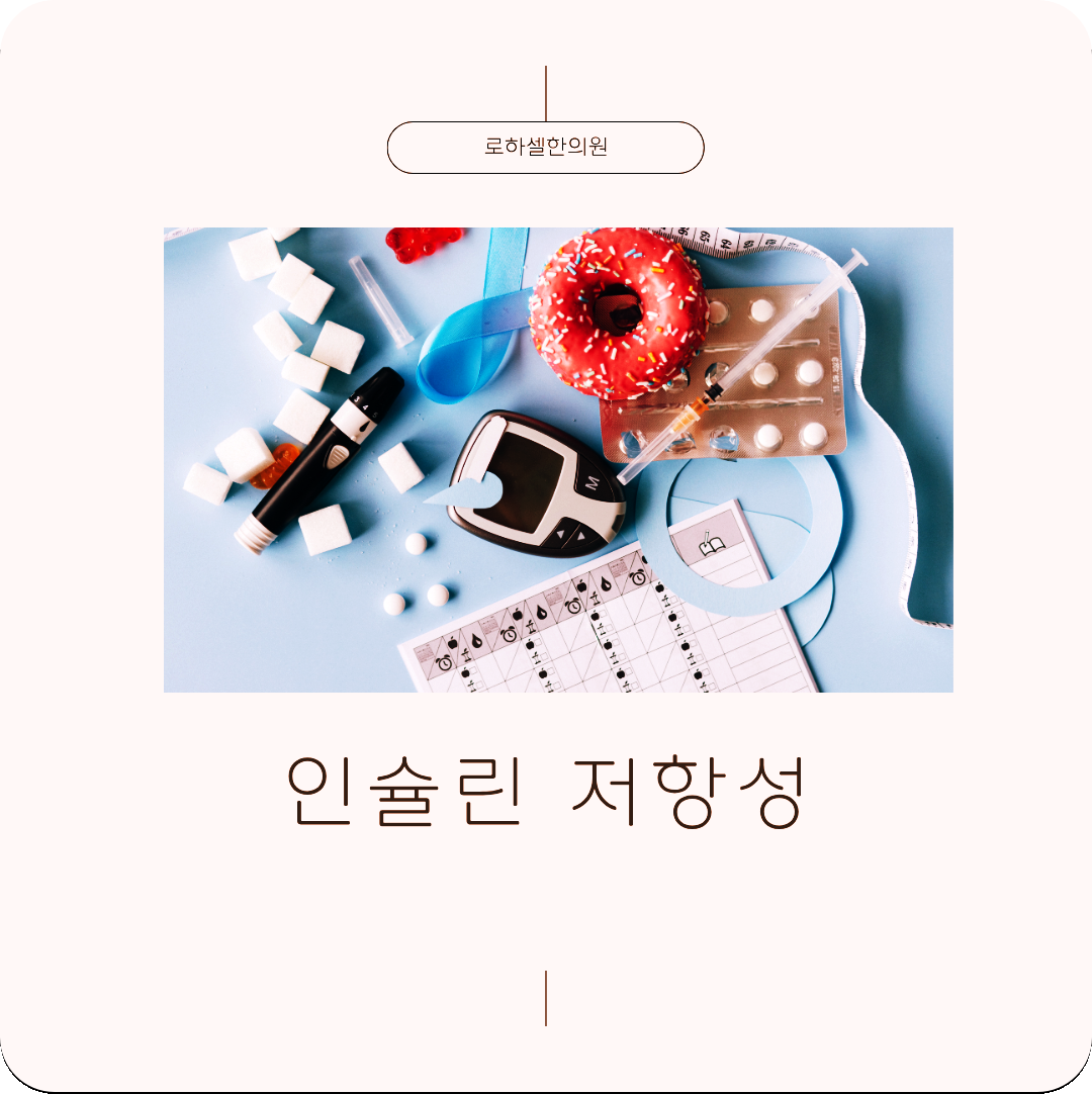 인슐린 저항성 생기게 된다면 우리 몸은 혈당을 빨리 에너지로 못 써요!