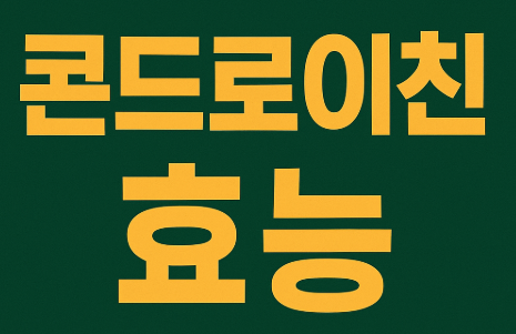 콘드로이친 효능