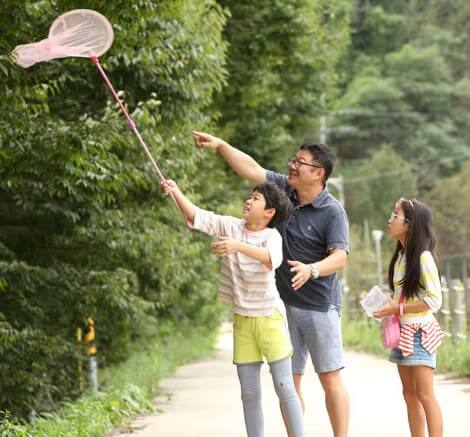 무주반딧불축제