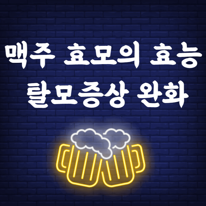 맥주 효모 탈모