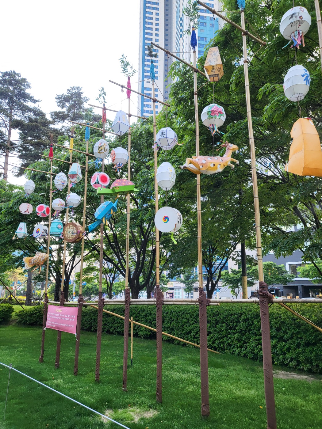 삼광사연등축제
