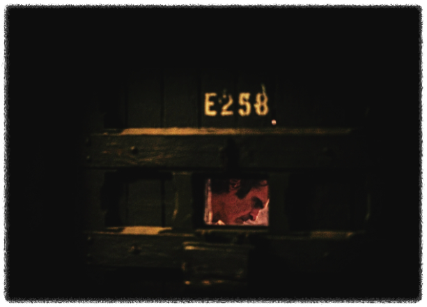 새롭게 태어난 광기