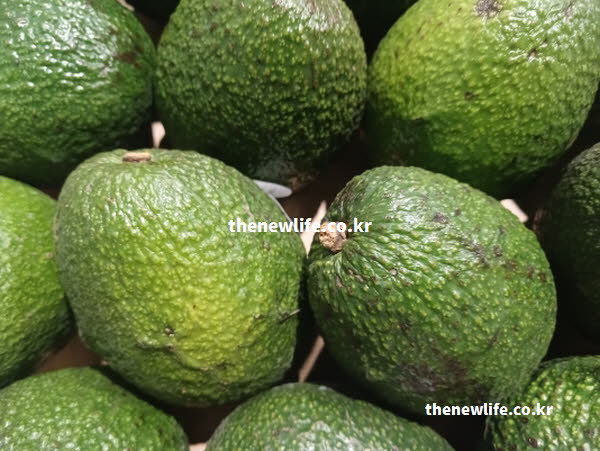 아보카도 효능의 루테인과 제아잔틴이 눈 건강에 도움이 되는 실사진