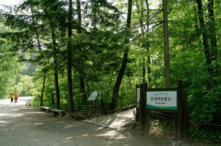 포천 광릉수목원! 숨겨진 힐링 명소, 포천 광릉수목원 완전 정복