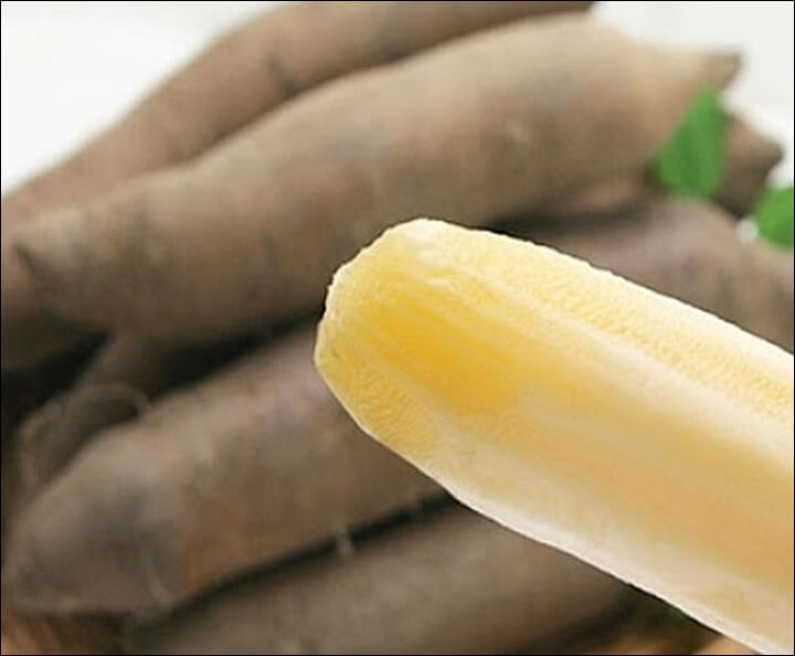 야콘 부작용