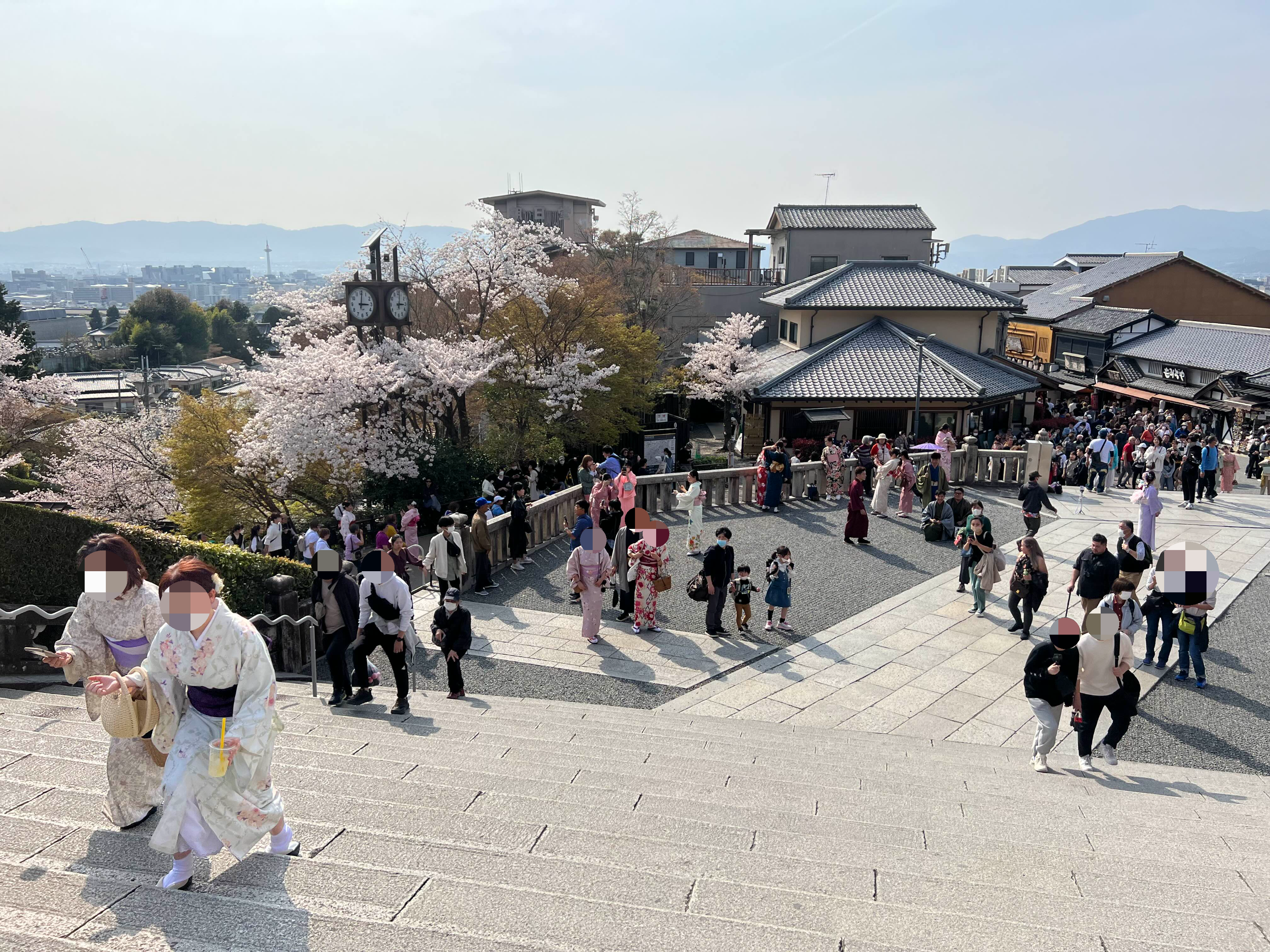 기요미즈데라 벚꽃구경, 2023년 교토에서.