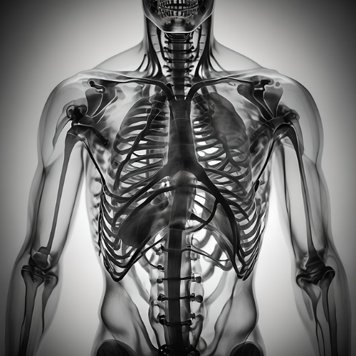 갈비뼈 금 갔을 때 증상과 치료 방법