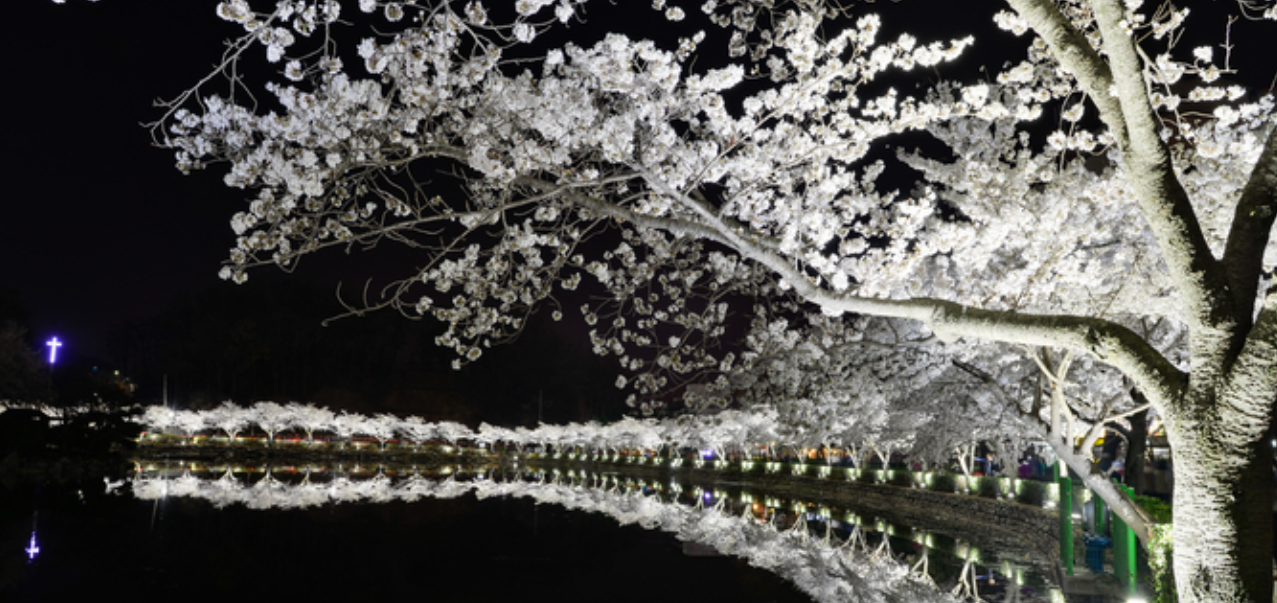 출처: 대구경북 뉴스