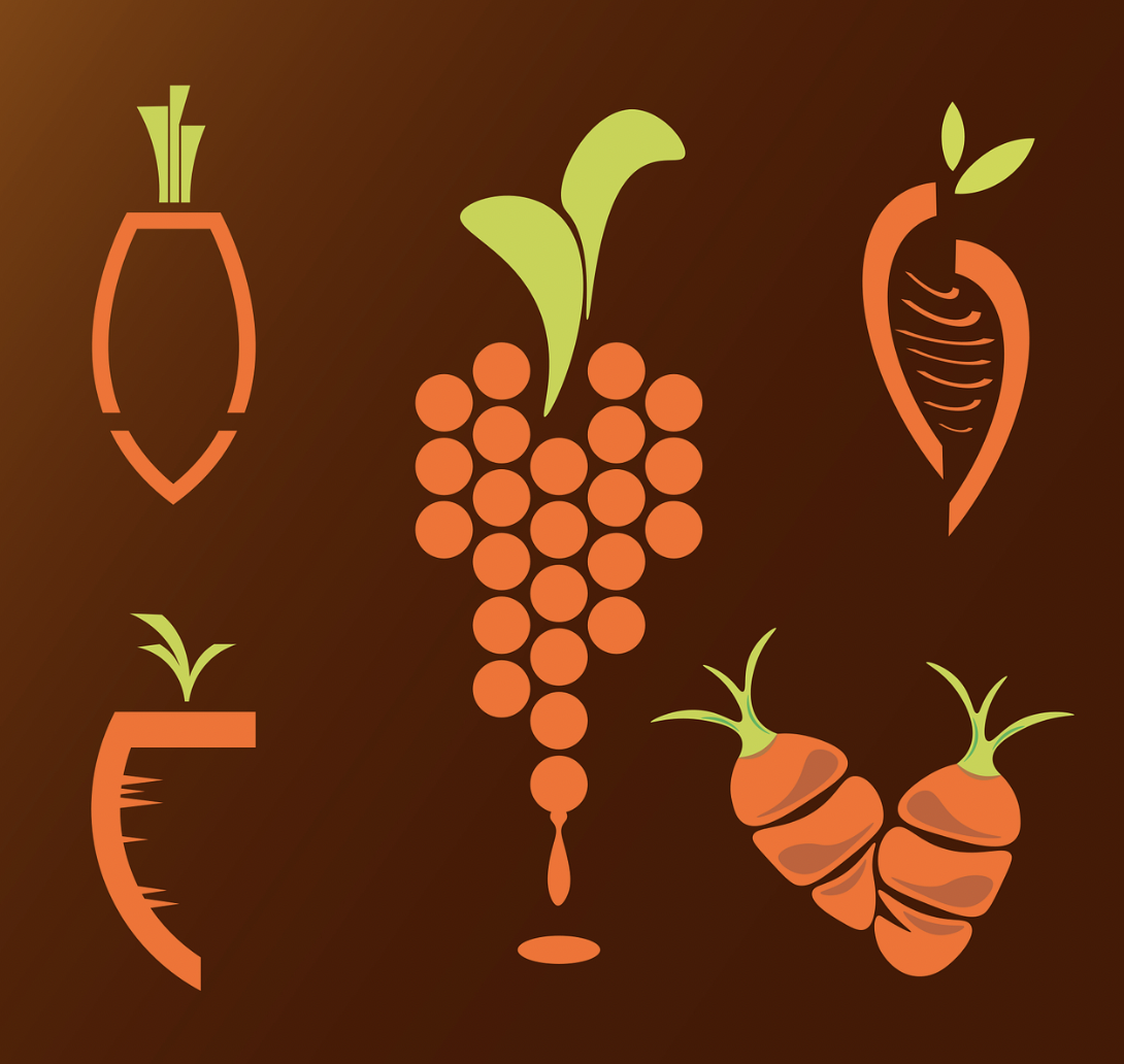 면역력을 높이는 음식들의 공통점