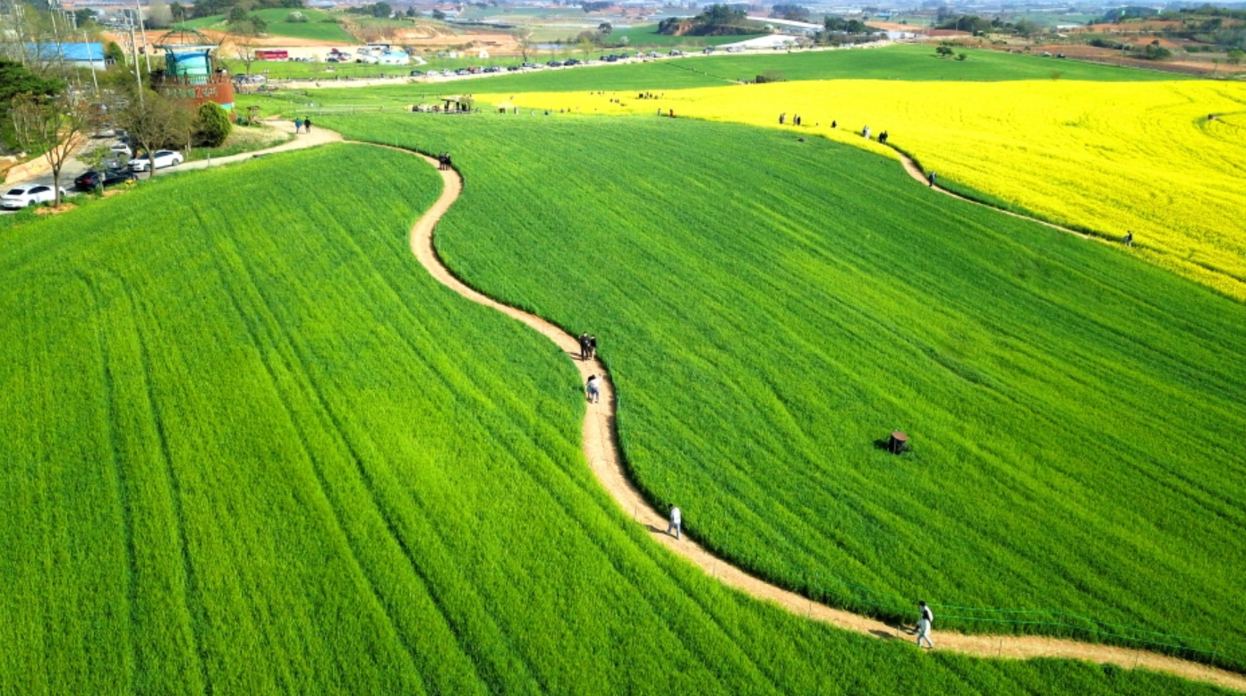 완도 청산도 슬로길