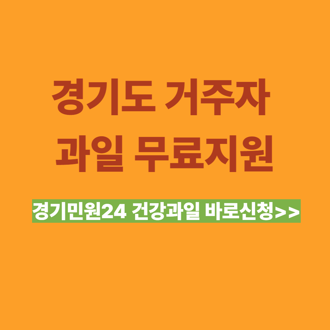 정부지원 어린이 건강과일