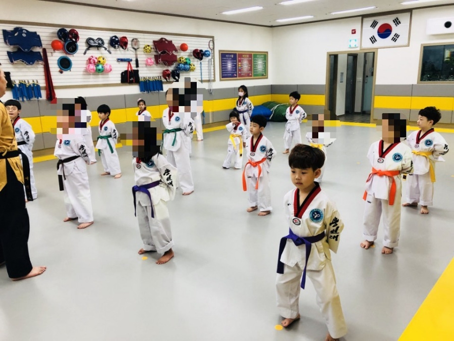 용인대석사태권도