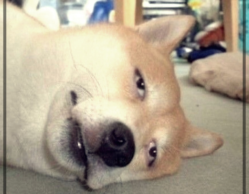 엘 트립토판 부작용에 대한 이해