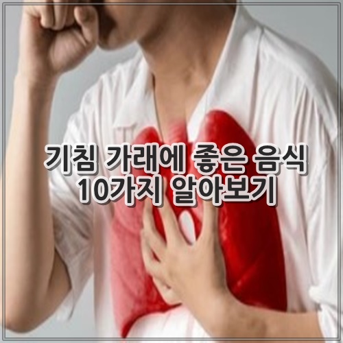 기침 가래에 좋은 음식 10가지 알아보기