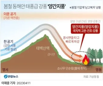 봄철 강풍 꽃가루 농도 알레르기 마스크 관리_7