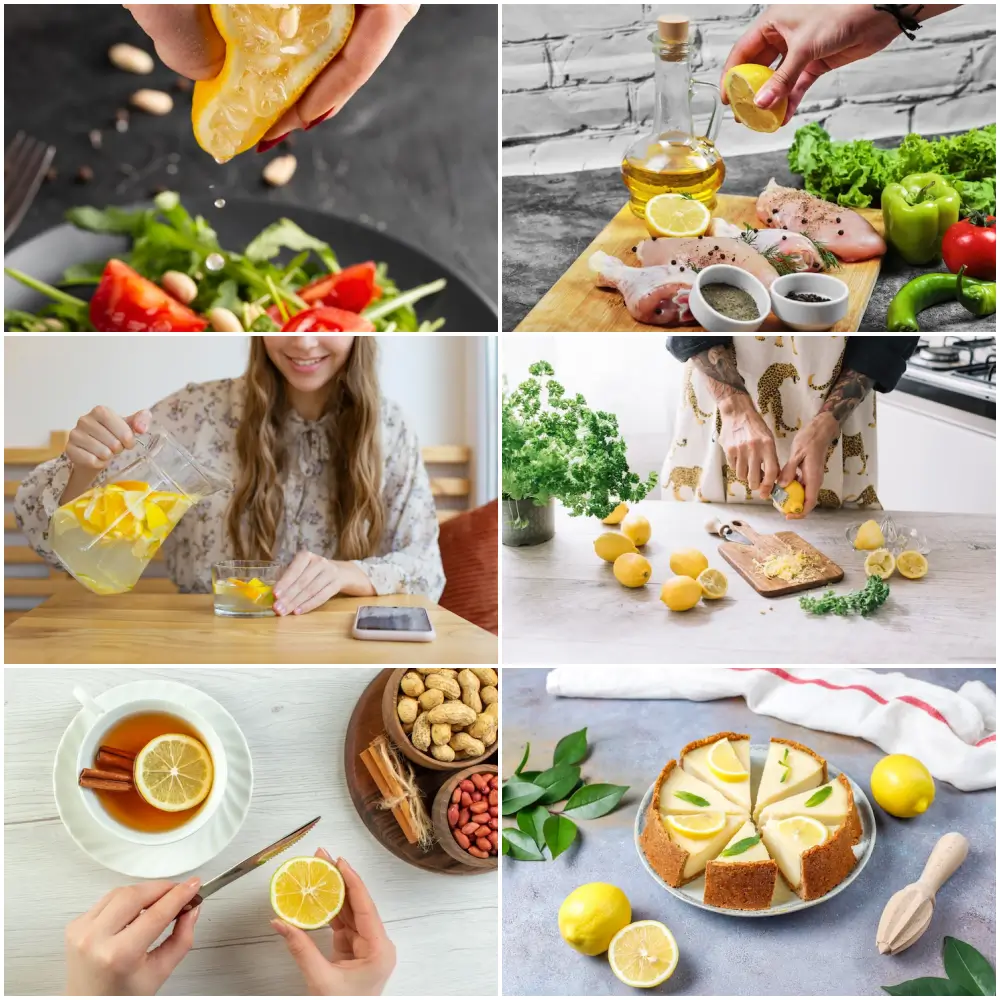 레몬의 다양한 요리들