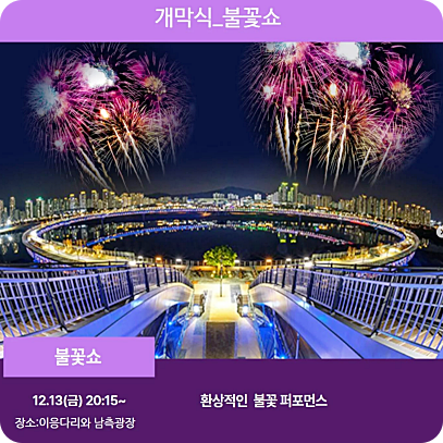  세종시 빛 축제 