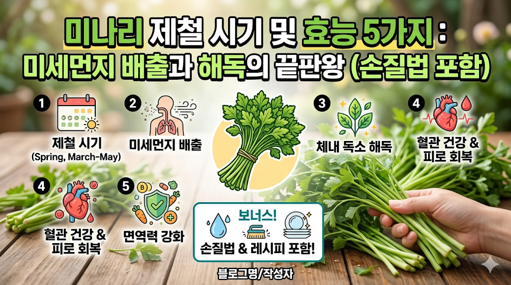 미나리 제철 시기 및 효능 5가지: 미세먼지 배출과 해독의 끝판왕 (손질법 포함)