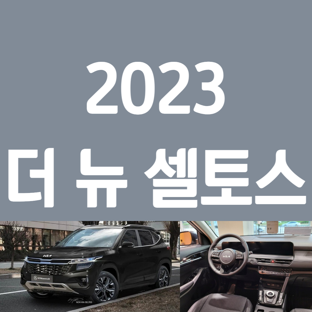 2023 더뉴 셀토스