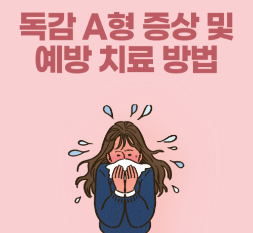 독감 A형 증상 및 예방 치료 방법 관련 사진