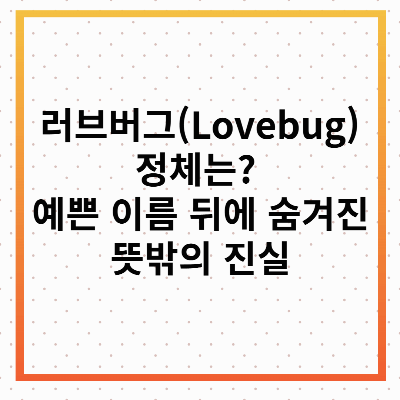 러브버그