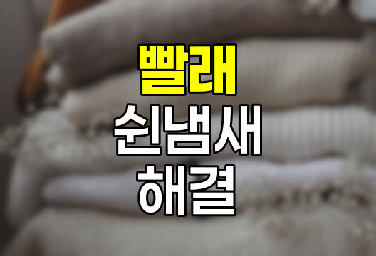 빨래 쉰냄새 원인과 해결책