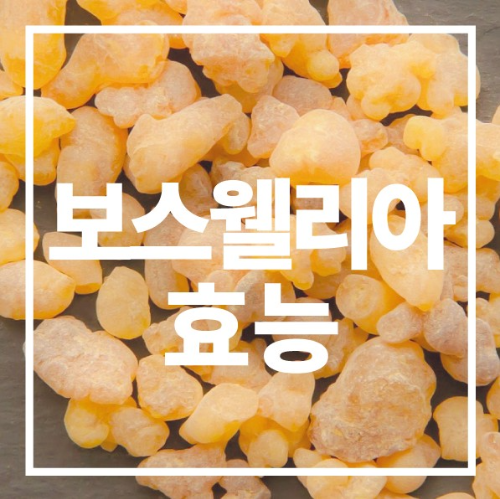 보스웰리아 효능