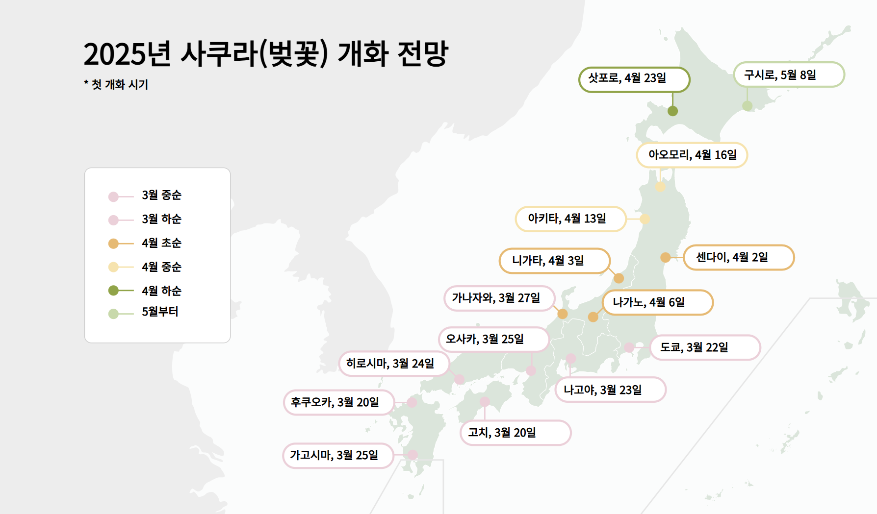 일본 벚꽃 진에어 진마켓