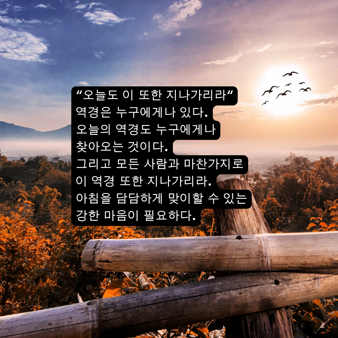 아침 인사로 좋은 글귀 카톡 아침 안사말 모음 문구