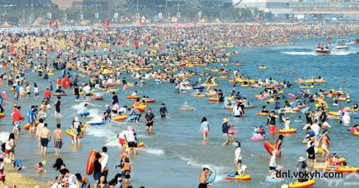 부산의 해운대 해수욕장의 여름 인파