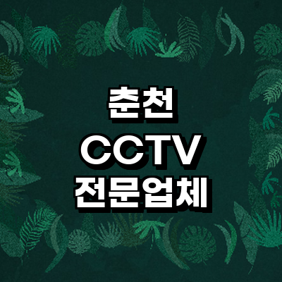 춘천시 cctv