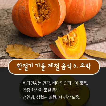 환절기 가을 건강 관리법