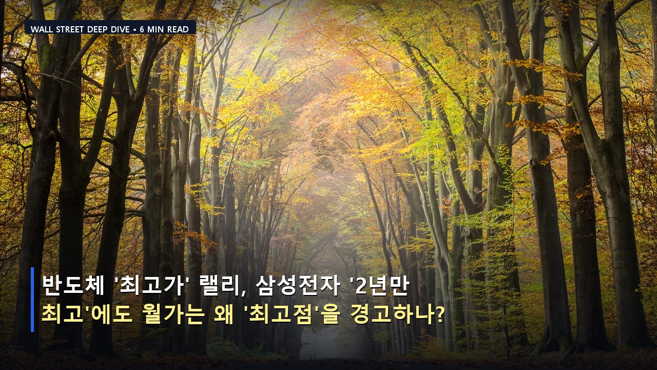 반도체 '최고가' 랠리, 삼성전자 '2년만 최고'에도 월가는 왜 '최고점'을 경고하나?